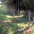 Fent Fent Fenting Farming